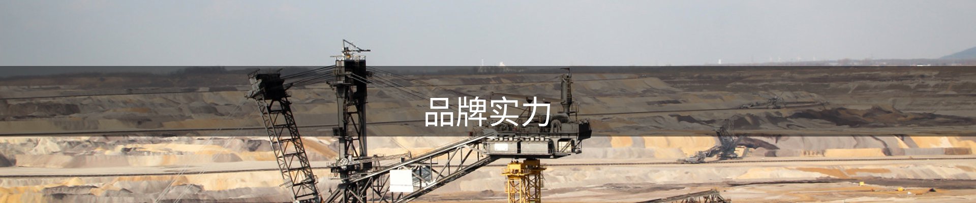 品牌实力