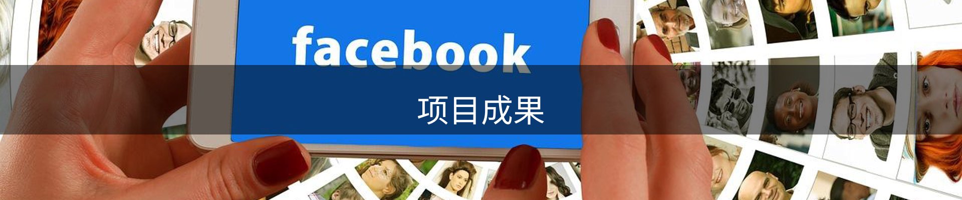 项目成果